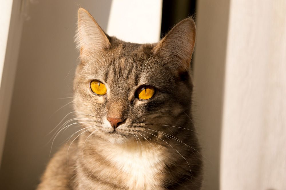 Photograph by Марина Чашина