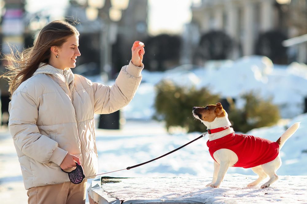 Photograph by Мария Некрасова