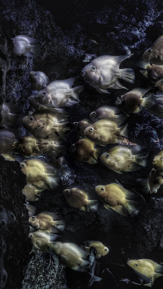 Photograph by شروق الهذلي