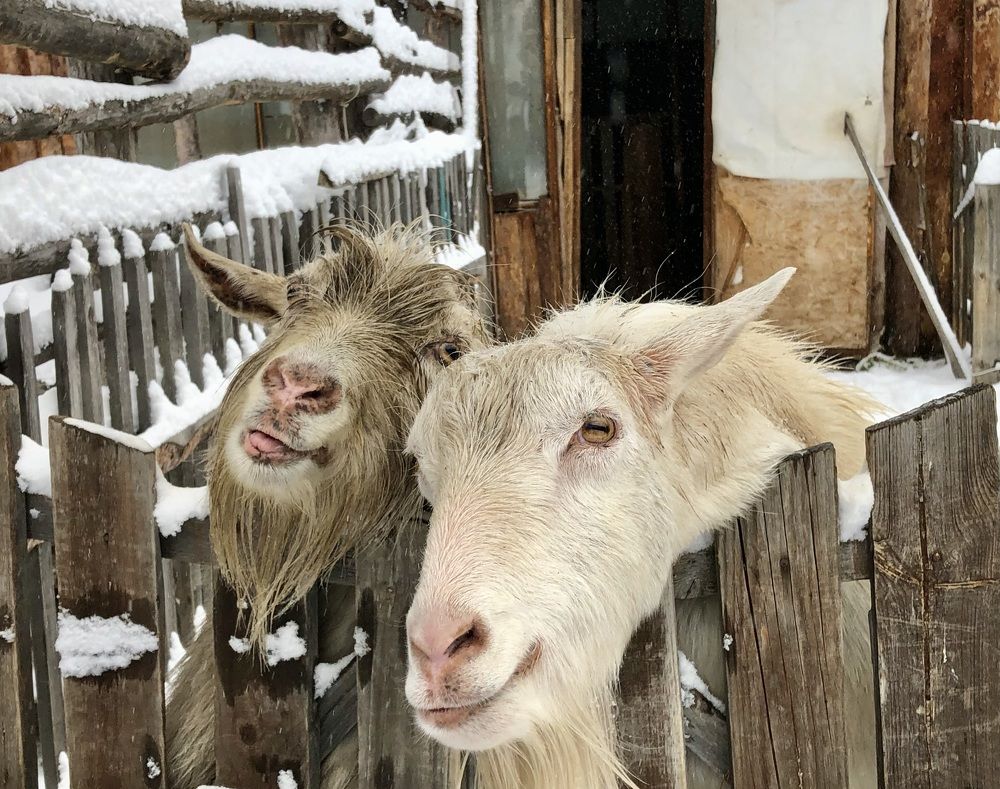 Фотография автора Евгения Елисеева