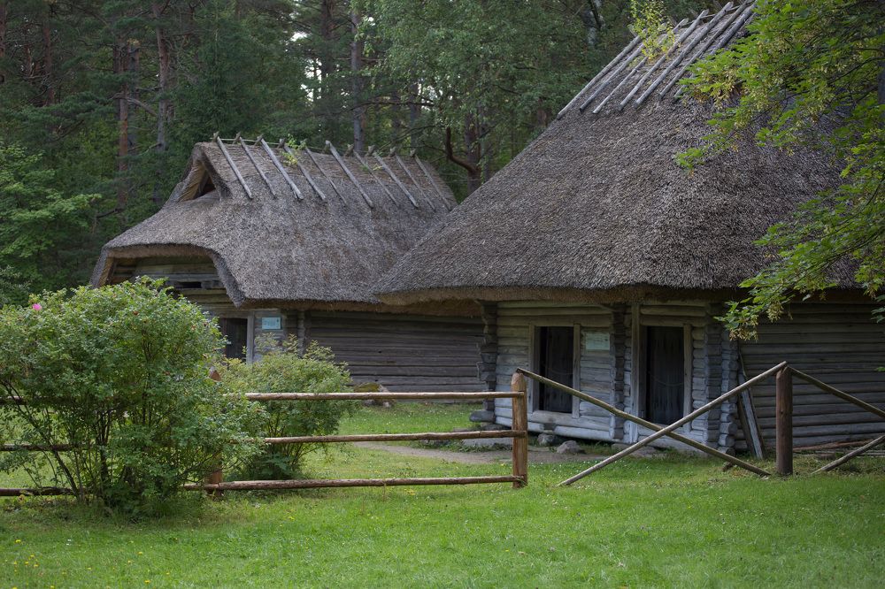 Photograph by Дидковская Анастасия