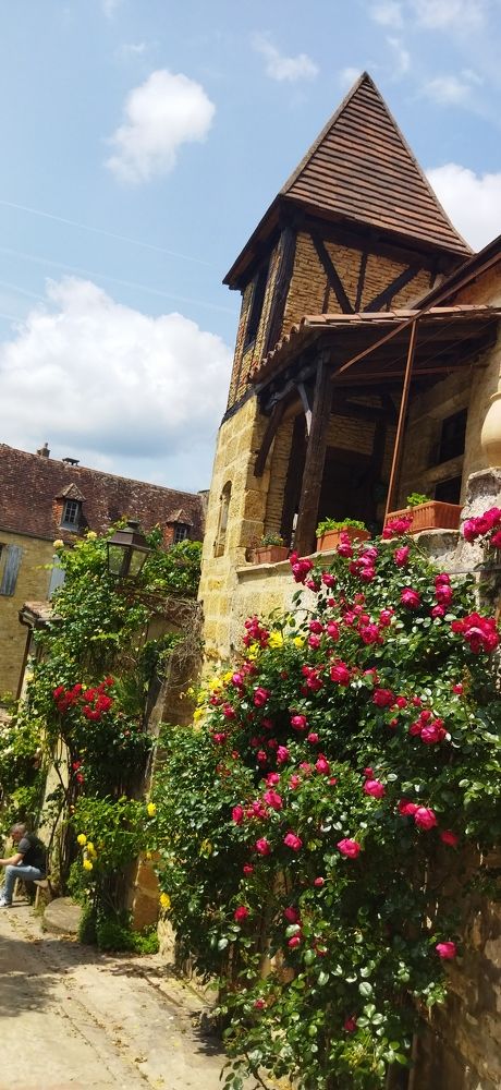 Фотография автора Ариадна Ланно