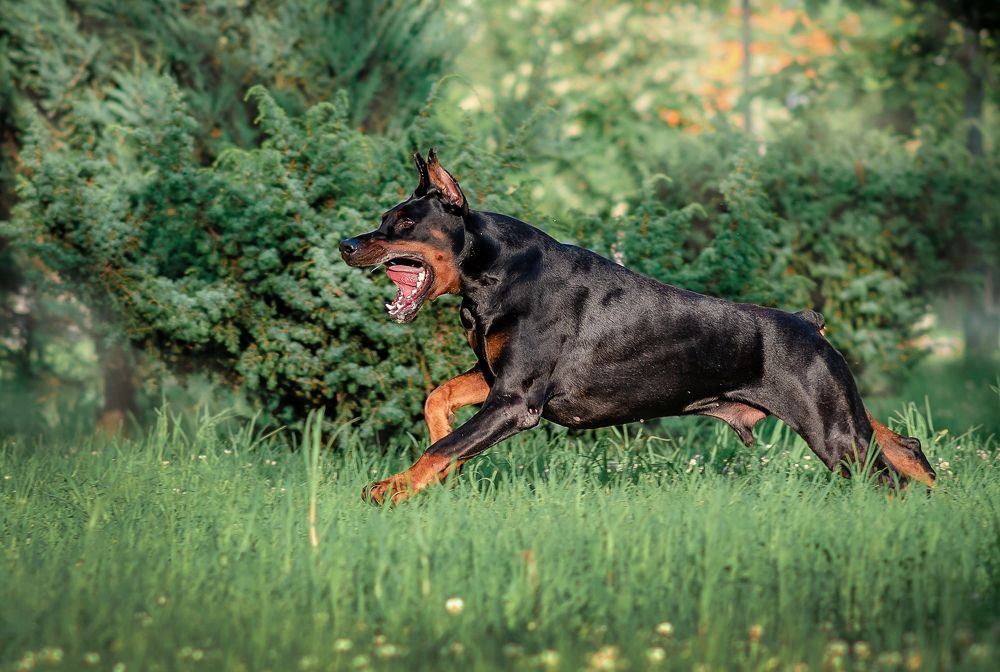 Photograph by Екатерина Лебедева