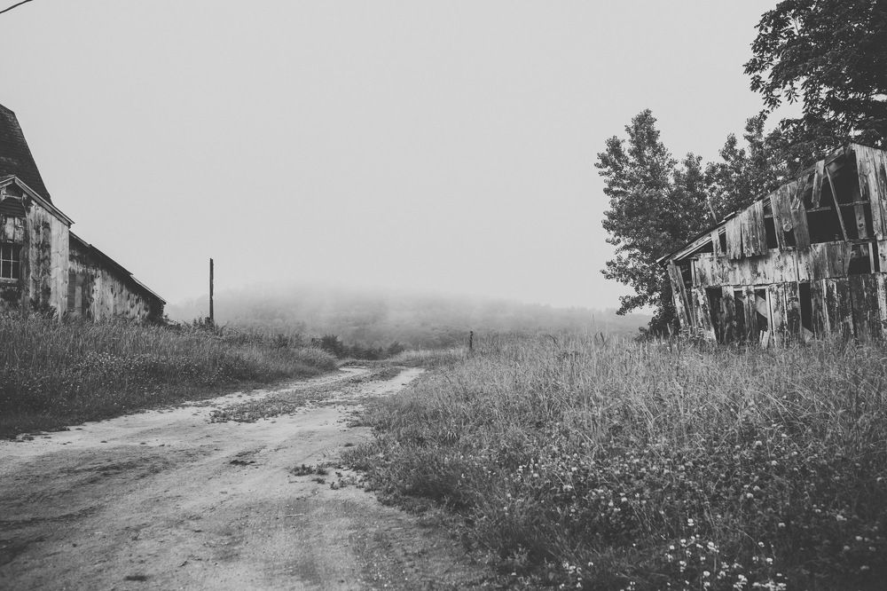 Фотография автора Alexandra Vainshtein