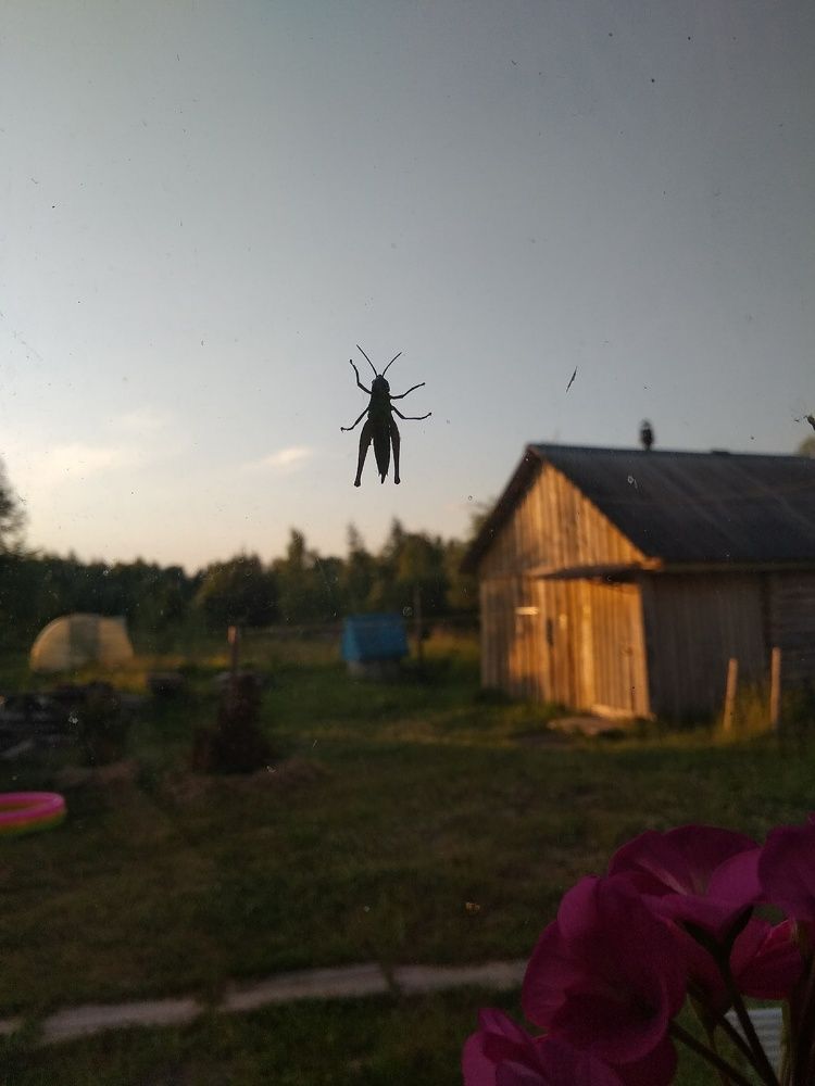 Photograph by Жигалина Наталья