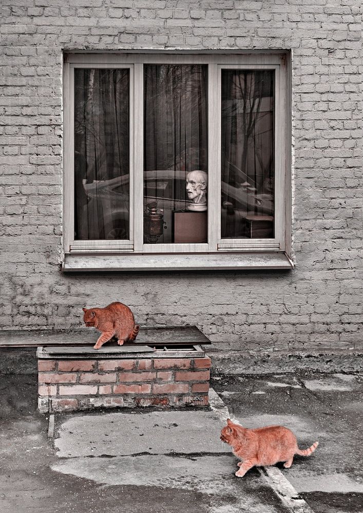 Photograph by Константин Мишнаевский