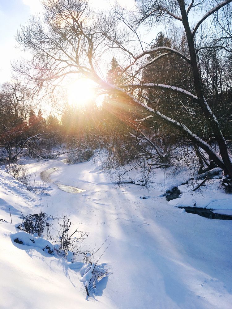 Фотография автора Иванов Андрей
