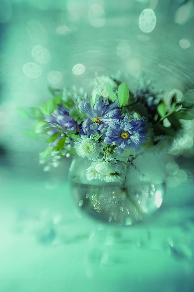 Фотография автора Виктория Шаманова