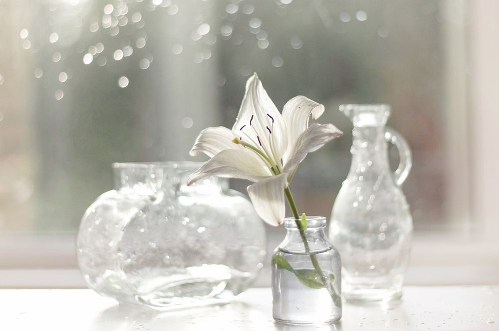 Летний дождь.