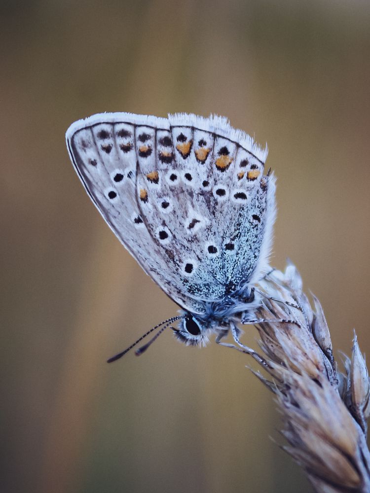 Фотография автора Юрий Серов