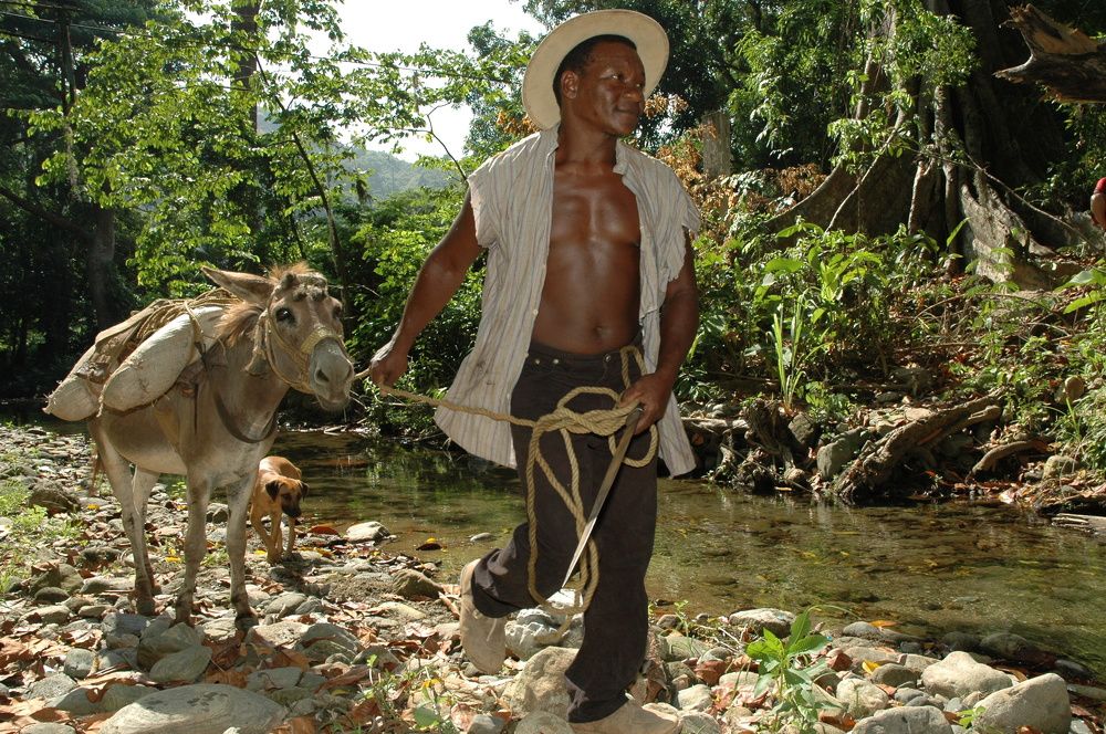 Conuquero. Osma, Edo. Vargas Venezuela