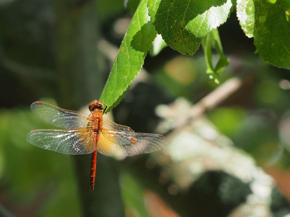 Photograph by Alexander Chernikov