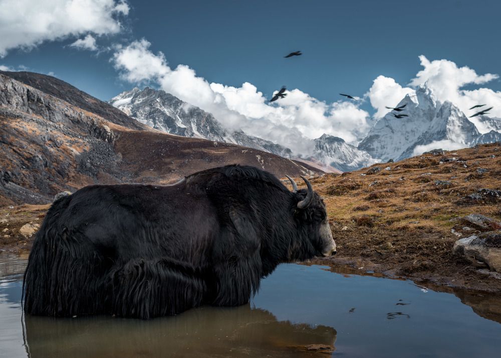 Photograph by Алиса Алексеева