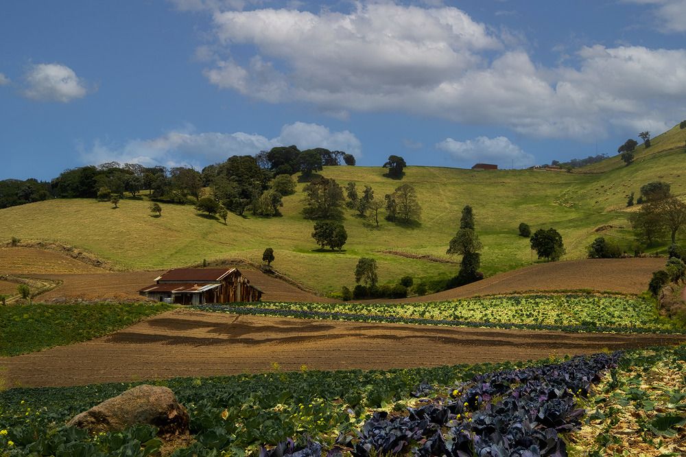 Photograph by Jose Vega