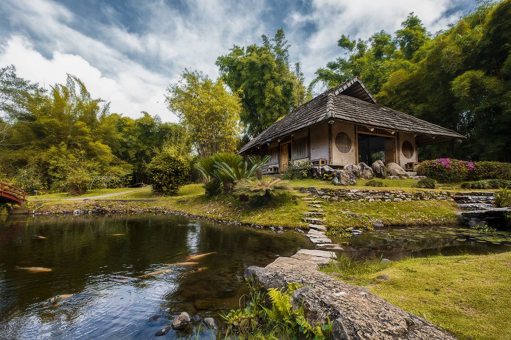 The place where  I want to live