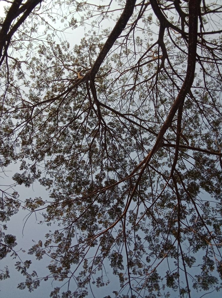 Photo #10278503