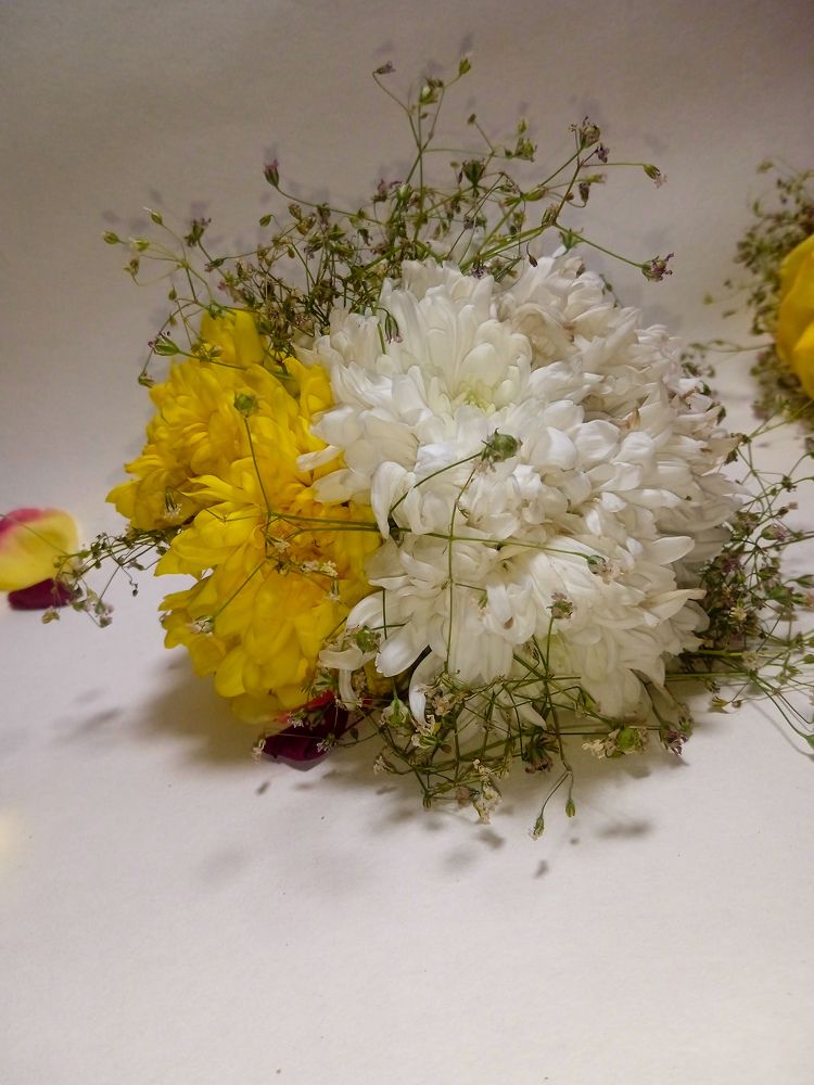 Photo #10278540