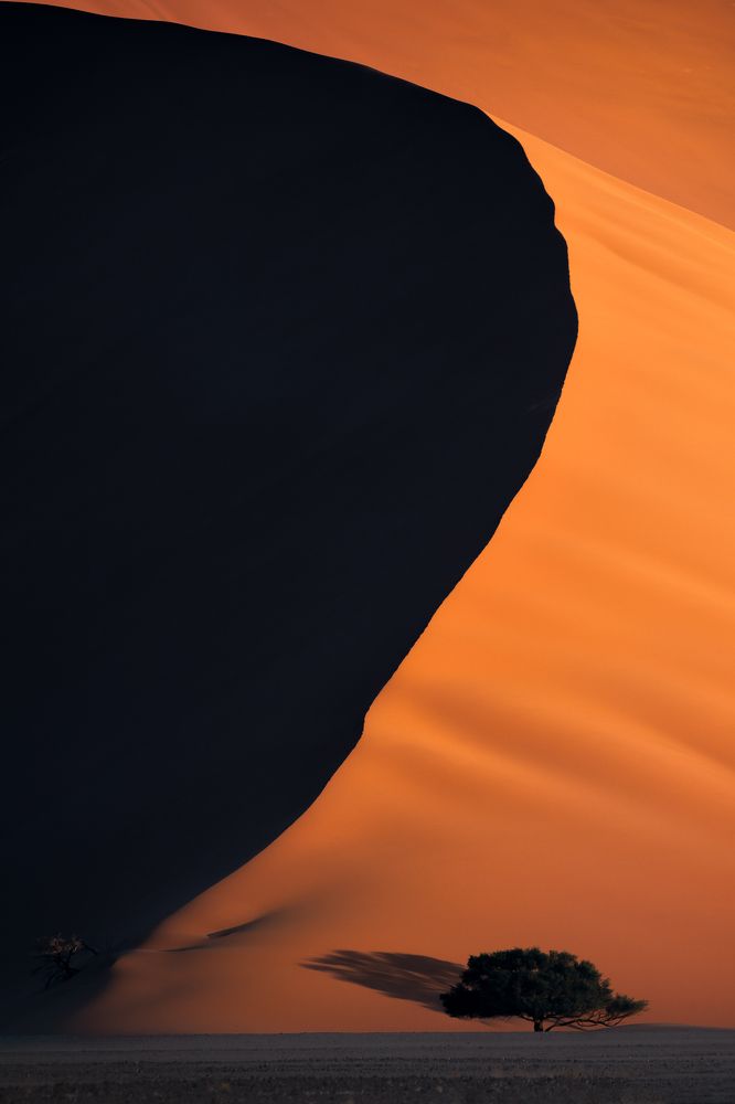 Photograph by Carlos André Silva Antunes