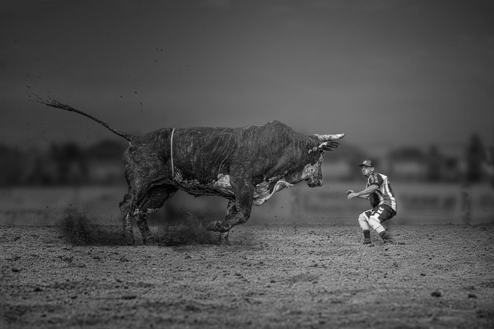 Фотография автора Liyan Dai