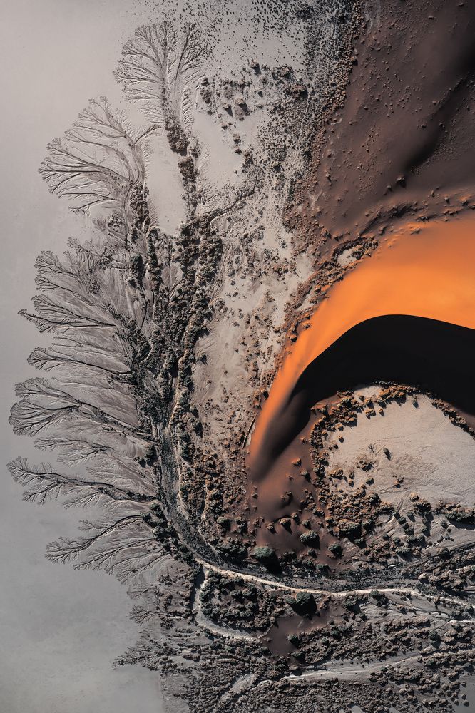 Photograph by Carlos André Silva Antunes