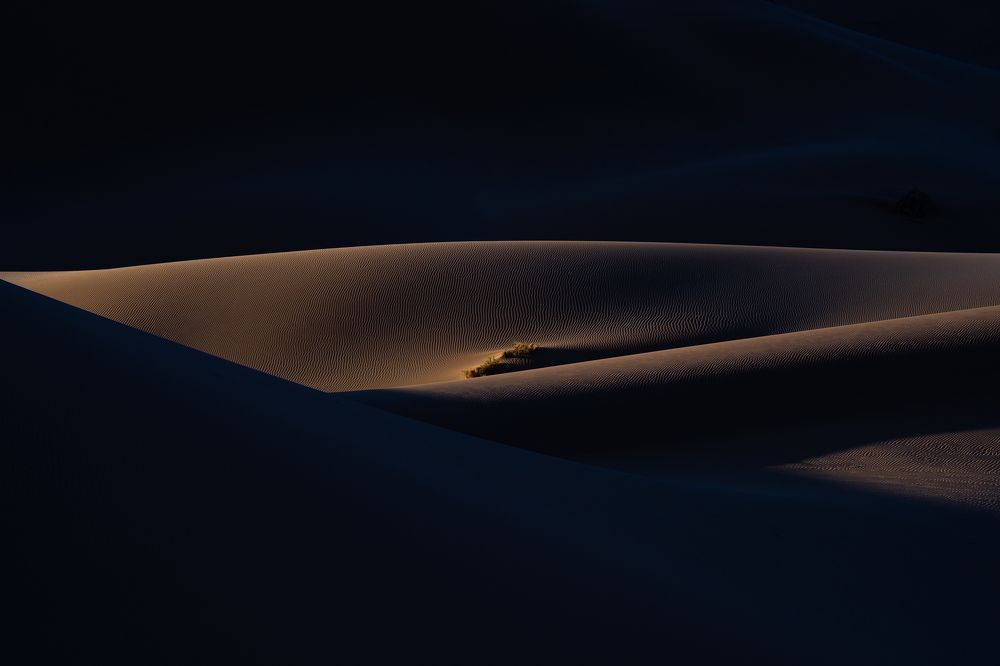 Photograph by Carlos André Silva Antunes