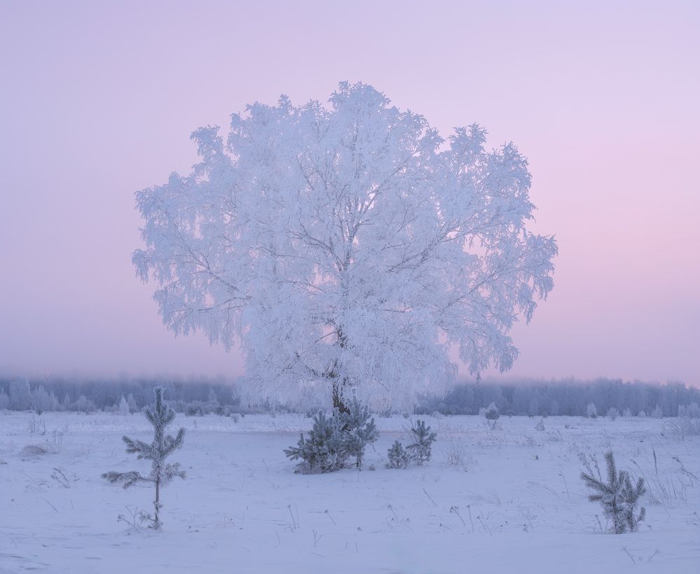 Photograph by Леонтьев Константин