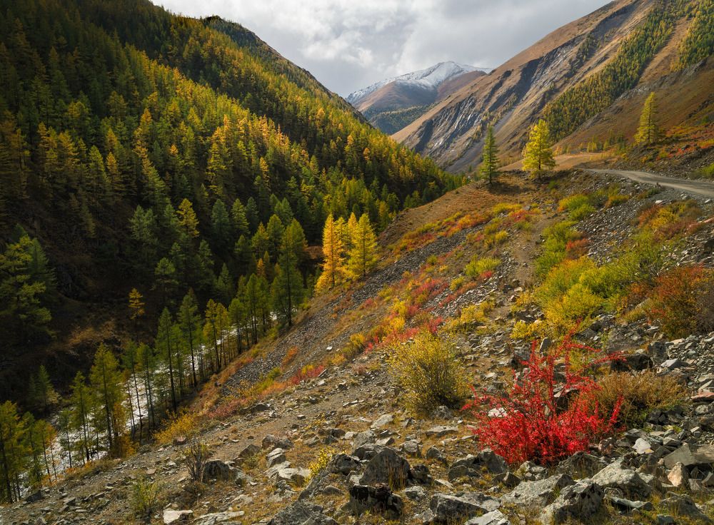 Photograph by Леонтьев Константин