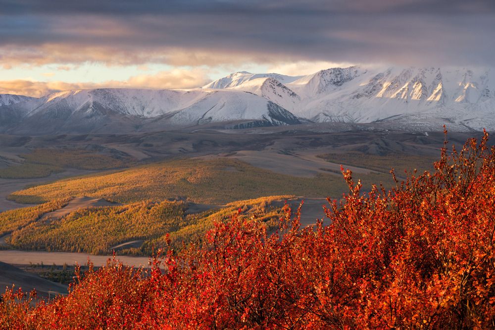 Photograph by Леонтьев Константин