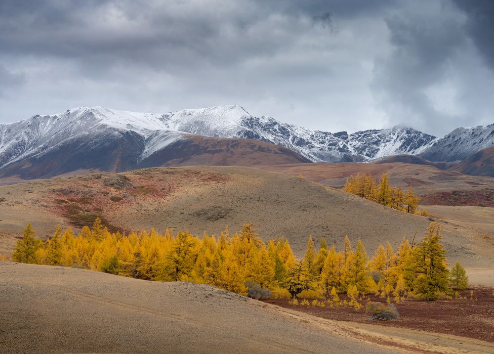 Photograph by Леонтьев Константин