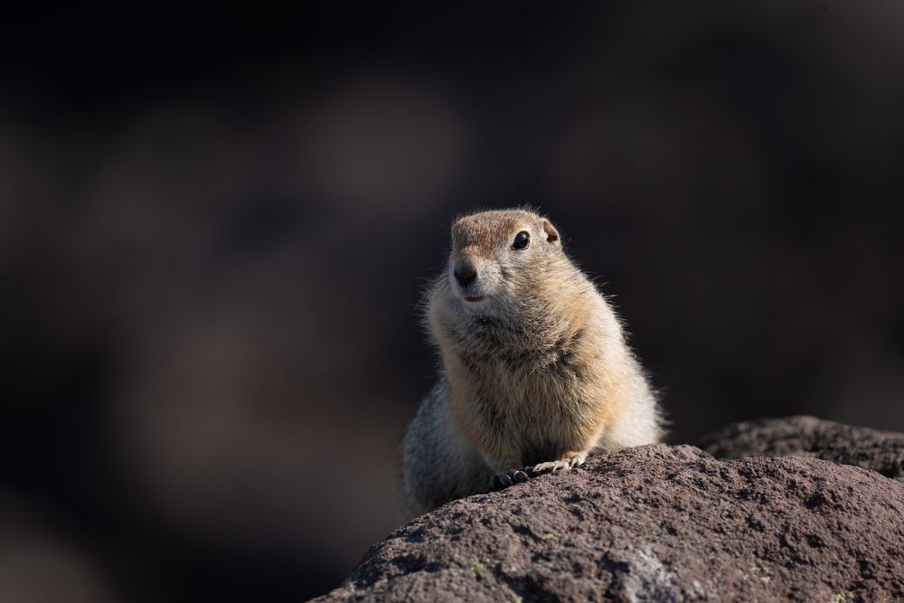 Photograph by Алиса Алексеева