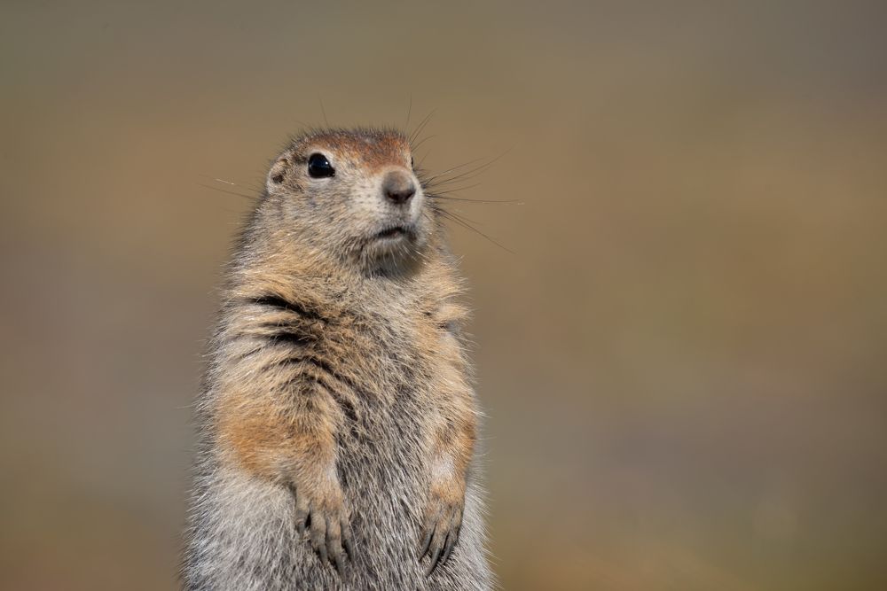 Photograph by Алиса Алексеева