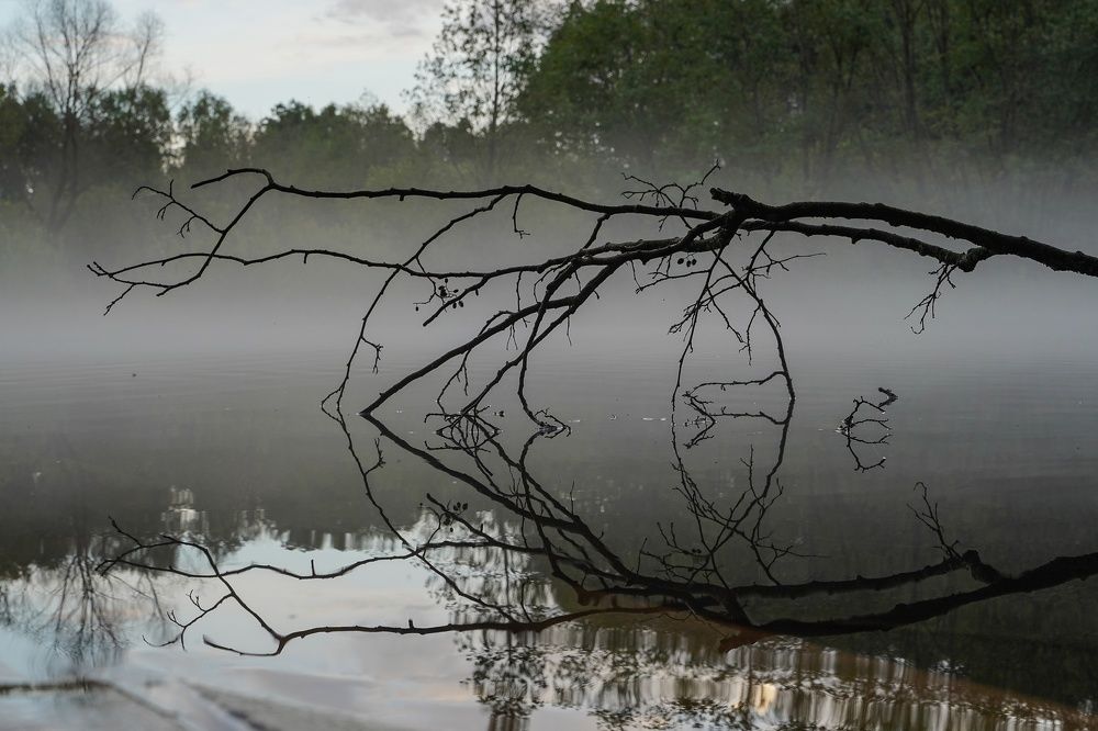 Photograph by Давыдова Гульгена