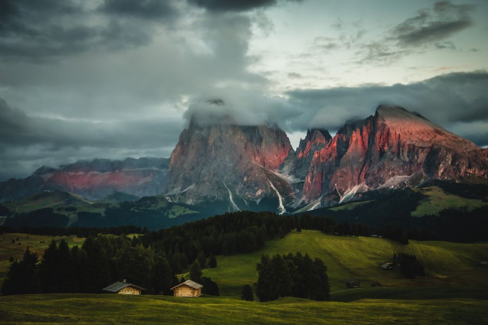 Photograph by Agnieszka Wieczorek