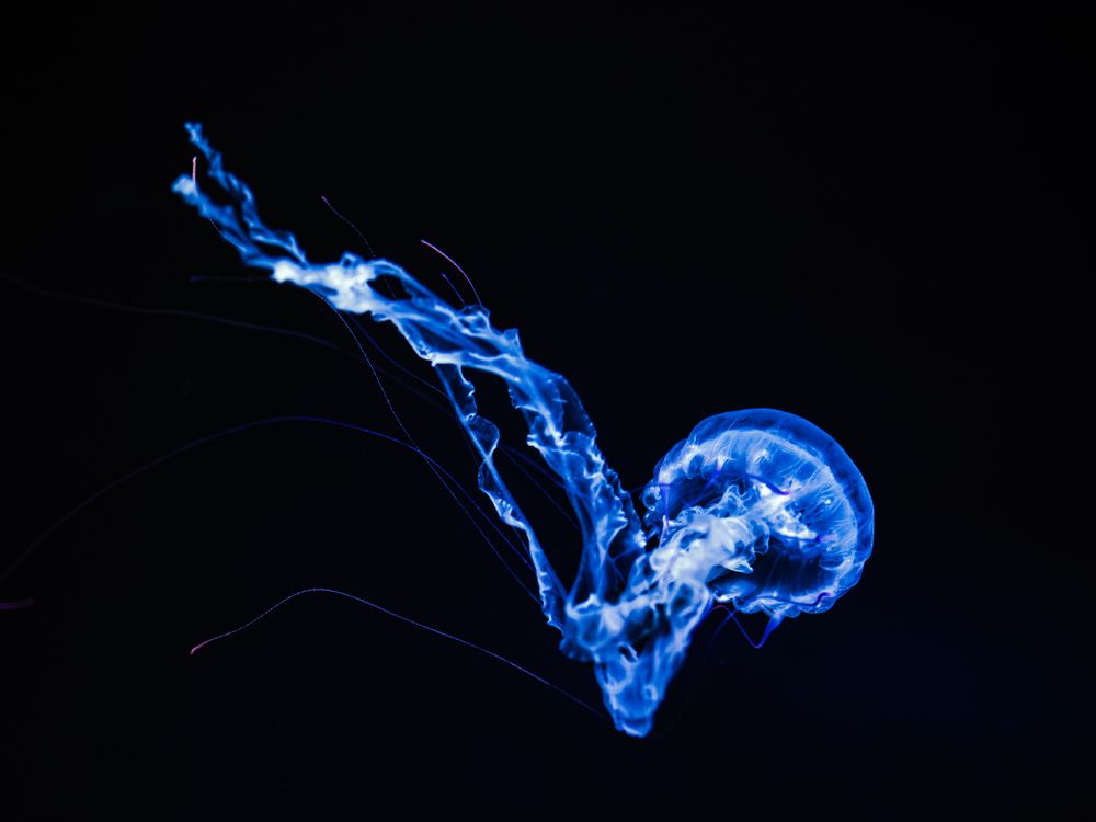 advance into the abyss