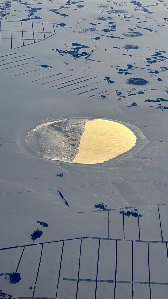 Photograph by Елена Мизина