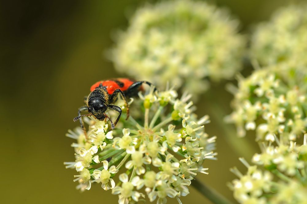 Фотография автора Дмитрий Герасимов