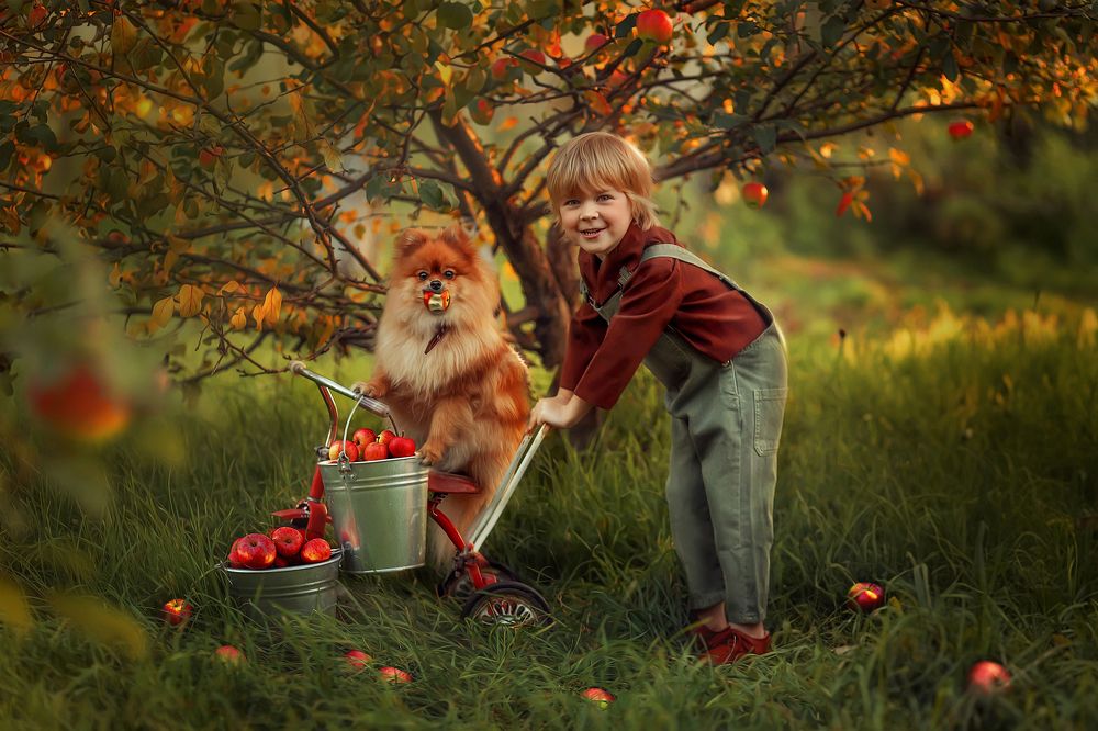 Photograph by Любовь Пятовская