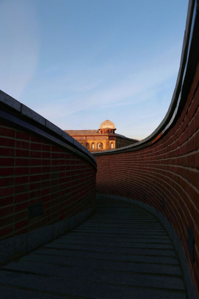 Photograph by safoura saeedi seta