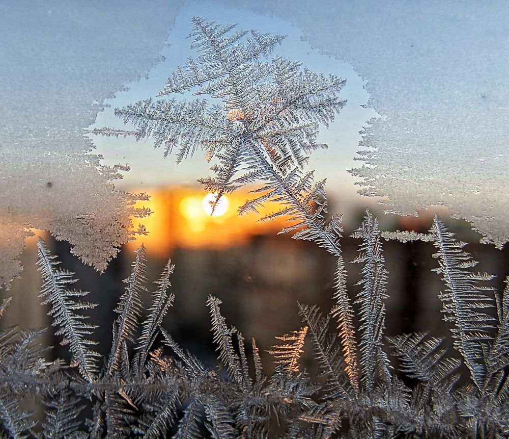 Photograph by Natalia Bolotenkova