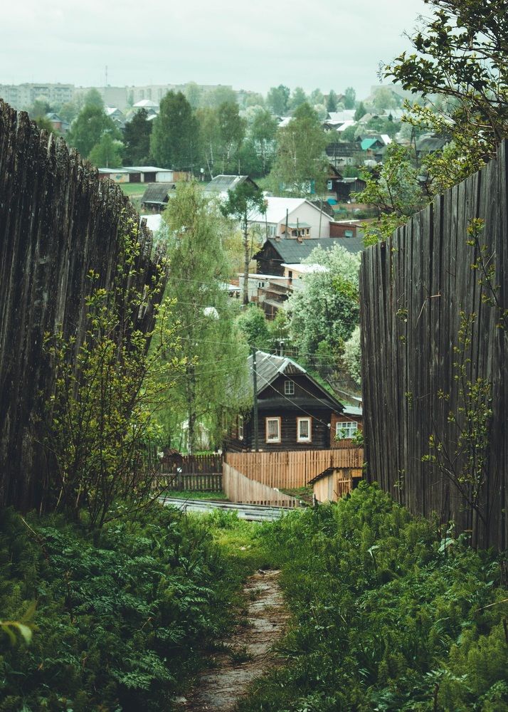 Photograph by Ольга Мойсеева