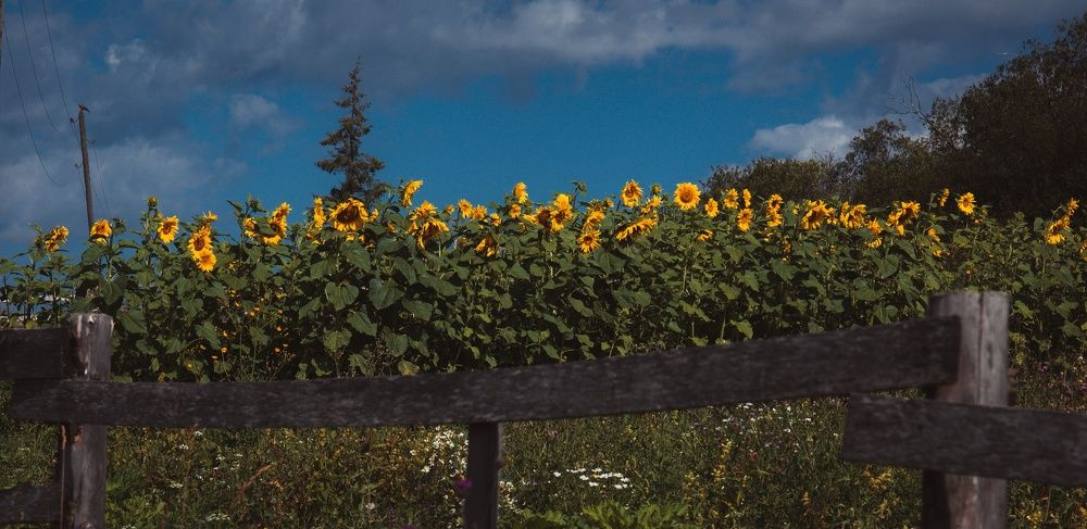 Photograph by Ольга Мойсеева