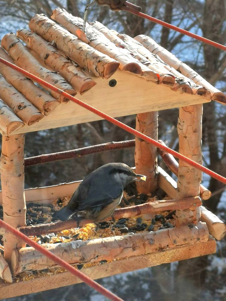 Photograph by Мария Маханько