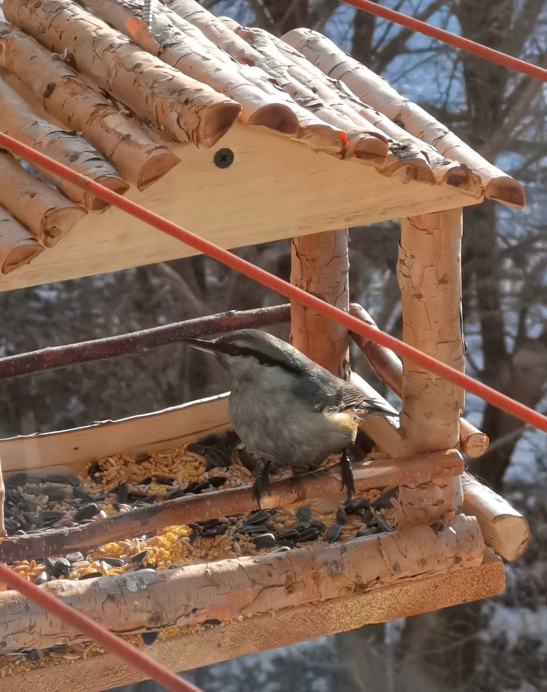 Photograph by Мария Маханько