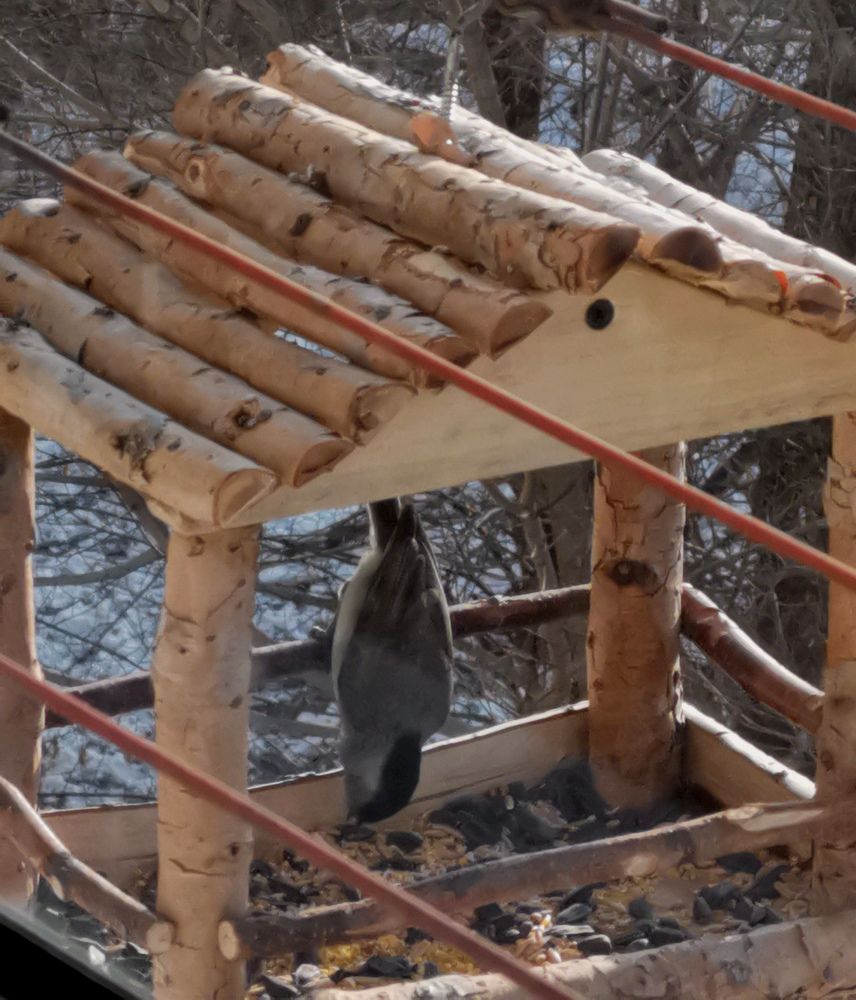 Photograph by Мария Маханько