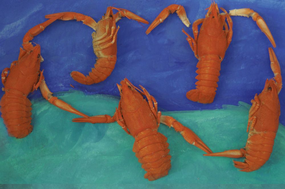 Photograph by Анастасия Медовник