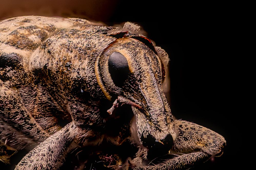 Photograph by Юрий Яковлевич