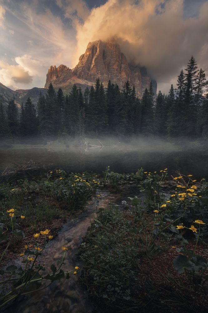 Photograph by de Franzoni Thomas