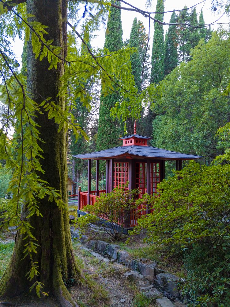 Photograph by Виталий Викторович