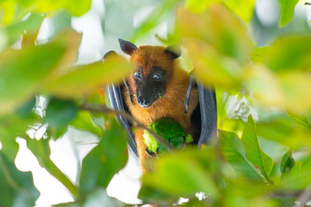 Photograph by Михаил Шмелёв