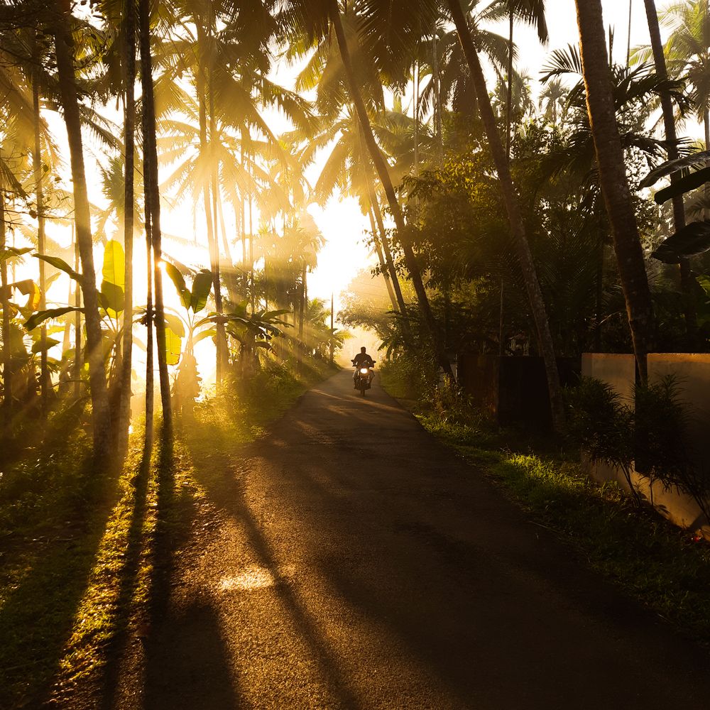 Photograph by Jaseem